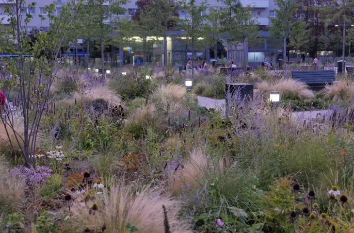 Nowy Targ Square in Wroclaw has won 3rd prize in the European Green Cities 2024 competition