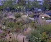 Plac Nowy Targ we Wrocławiu uzyskał 3. nagrodę w konkursie European Green Cities 2024