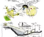 seed sketches for projects