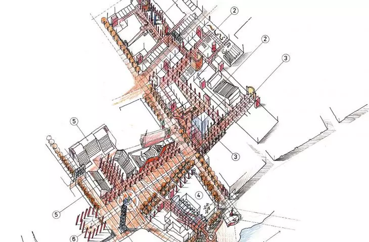 seed sketch