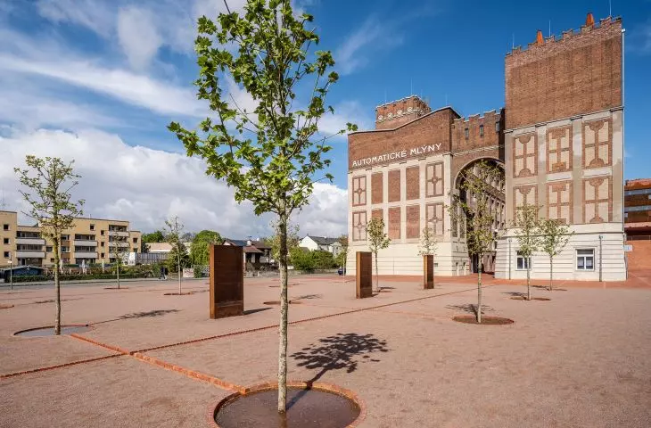 A regular grove of plane trees has been planted in the entrance square, their roots fed by a specially designed brick irrigation system