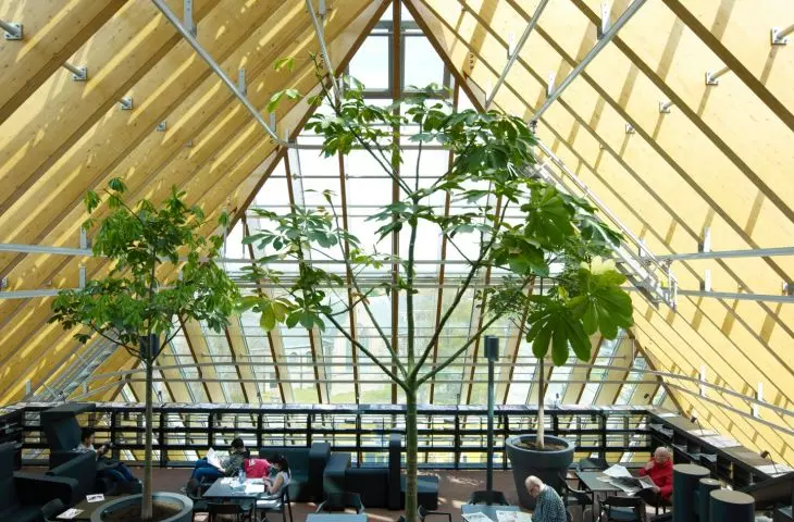 Biblioteka w Spijkenisse, Holandia