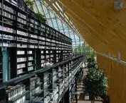 Biblioteka w Spijkenisse, Holandia