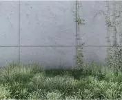 visualization