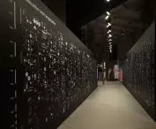 The exhibition 