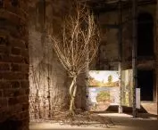 Architecture as Trees, Trees as Architecture (proj.: OLA Office for Living Architecture, Green Technologies in Landscape Architecture, Technical University of Munich)