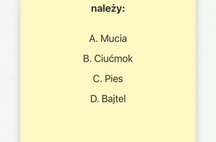 quiz