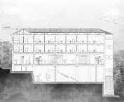 longitudinal section