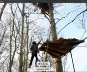 kadr z filmu dokumentalnego „An Atlas of Forest Occupations”