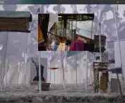 filmu dokumentalnego „An Atlas of Forest Occupations”
