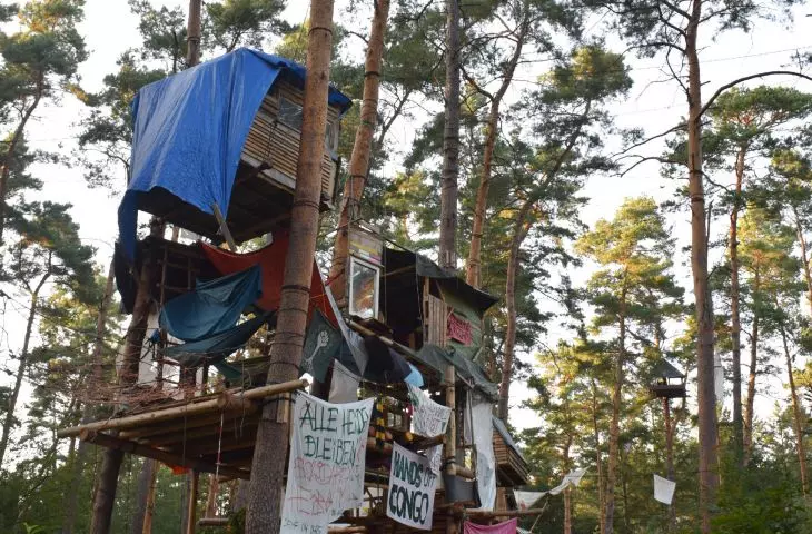projekt „An Atlas of Forest Occupations” dotyczy leśnych okupacji jako przestrzeni oporu, troski i alternatywnej architektury