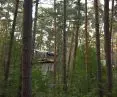 projekt „An Atlas of Forest Occupations” dotyczy leśnych okupacji jako przestrzeni oporu, troski i alternatywnej architektury