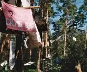 projekt „An Atlas of Forest Occupations” dotyczy leśnych okupacji jako przestrzeni oporu, troski i alternatywnej architektury