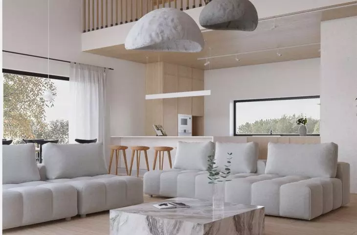 Eco house_design consciously. House project designed in accordance with zadasada 8R