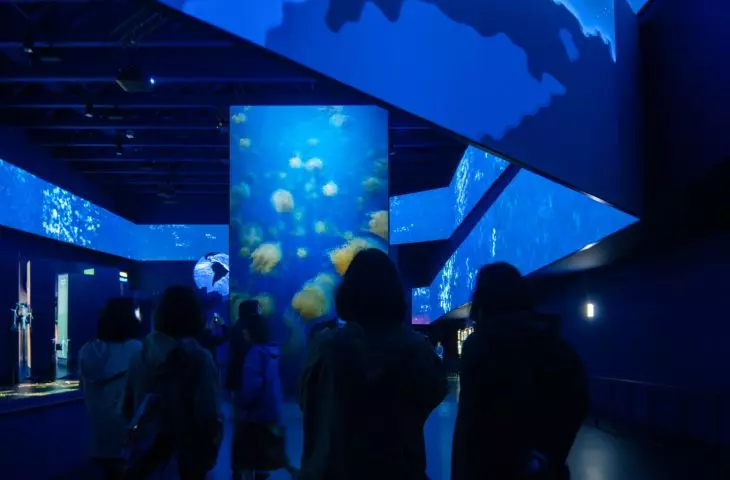 Spain's pavilion at Expo 2025 in Osaka - pavilion interior 