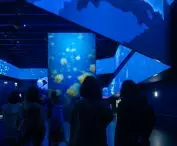 Pawilon Hiszpanii na Expo 2025 w Osace –  wnętrze pawilonu 