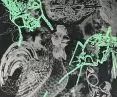 „Od porcelany do serigrafii”. Wystawa grafik studentek i studentów wzornictwa Uniwersytetu SWPS na Zamku Królewskim w Warszawie