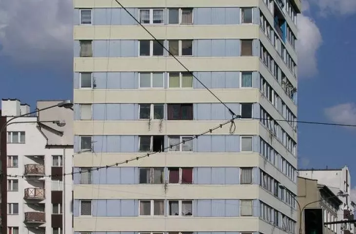 Trzonolinowiec we Wrocławiu