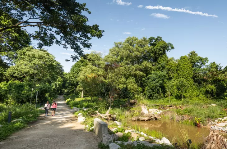 General view of the diverse vegetation and landforms at Bidadari Park in Singapore