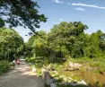 General view of the diverse vegetation and landforms at Bidadari Park in Singapore