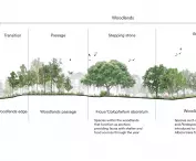 Diagram of the habitat and green space layout in Bidadari Park