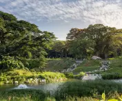 Bidadari Park in Singapore
