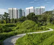 Singapore's Bidadari Park is designed with an eye to the future and a respect for history
