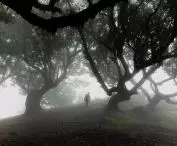 Madeira