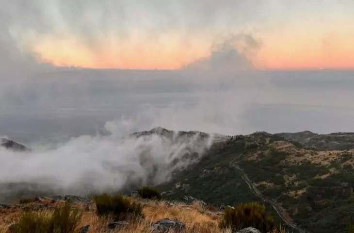 Madeira