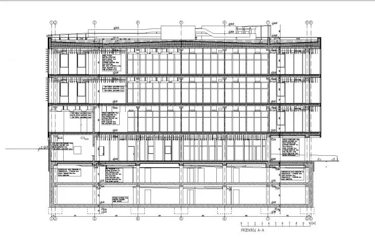 section