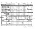 section