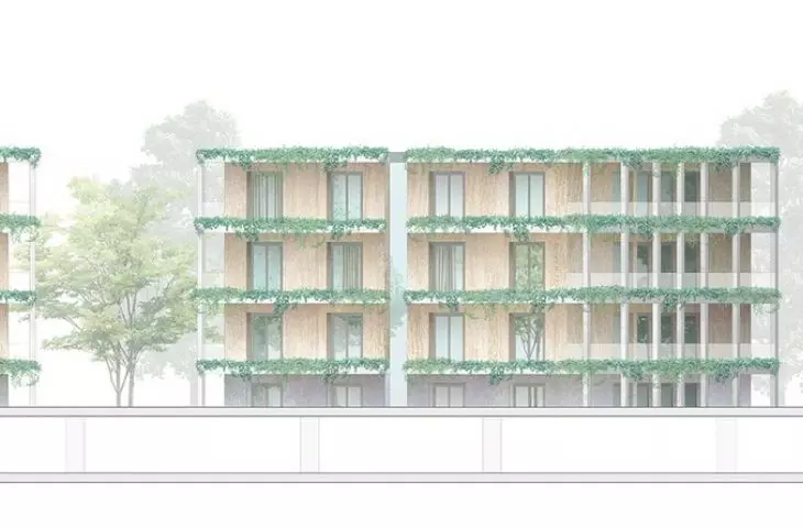 section