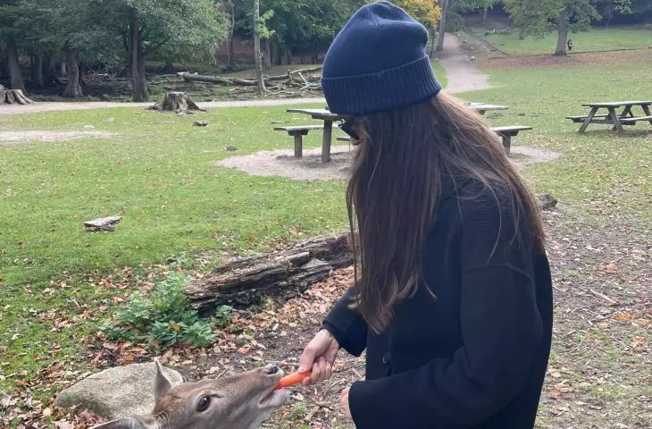 Aarhus deer park