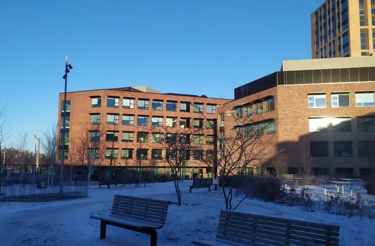 university