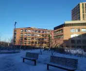 university