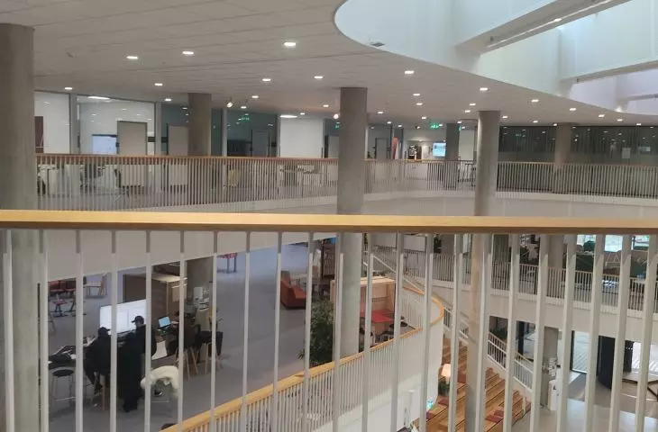 university