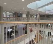 university