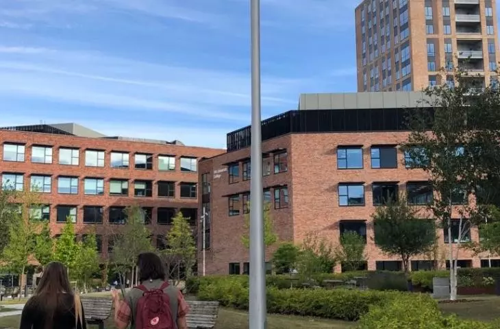 university