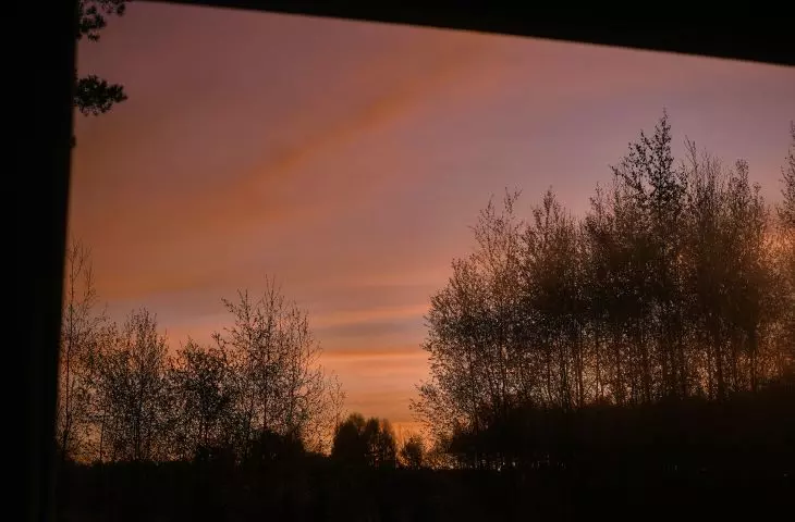 view from the cottage
