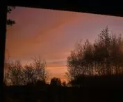 view from the cottage