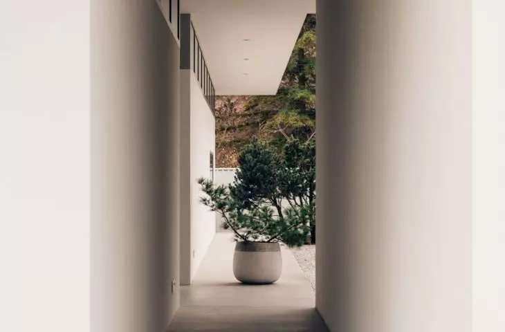 House K25