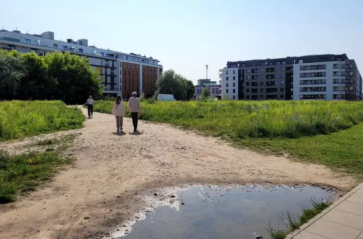 nowe zieleńce w Poznaniu