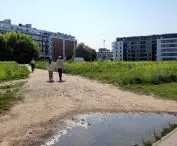 nowe zieleńce w Poznaniu