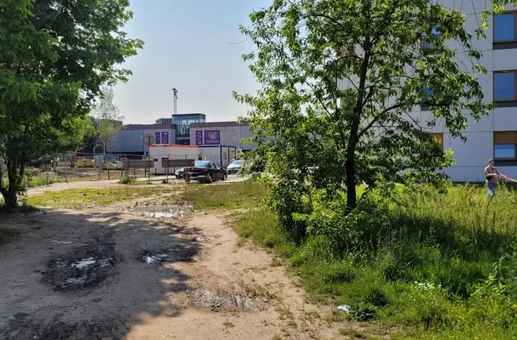 nowe zieleńce w Poznaniu