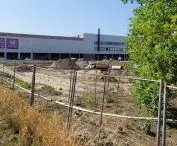 nowe zieleńce w Poznaniu