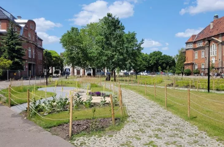 nowe zieleńce w Poznaniu