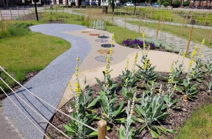 new green areas in Poznan