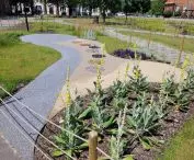 new green areas in Poznan