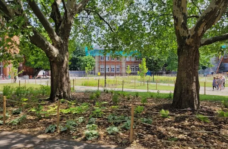 new green areas in Poznan