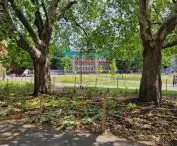 new green areas in Poznan